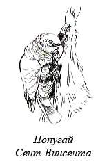 Иллюстрация к книге — Остров, одетый в джерси [i_014.jpg]