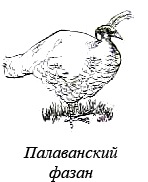 Иллюстрация к книге — Остров, одетый в джерси [i_020.jpg]
