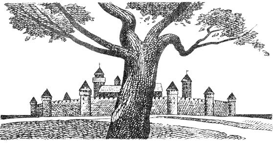 Иллюстрация к книге — Вильгельм Завоеватель [Gl_1.jpg]