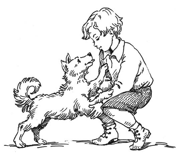 Иллюстрация к книге — Детство Темы [i_001.jpg]