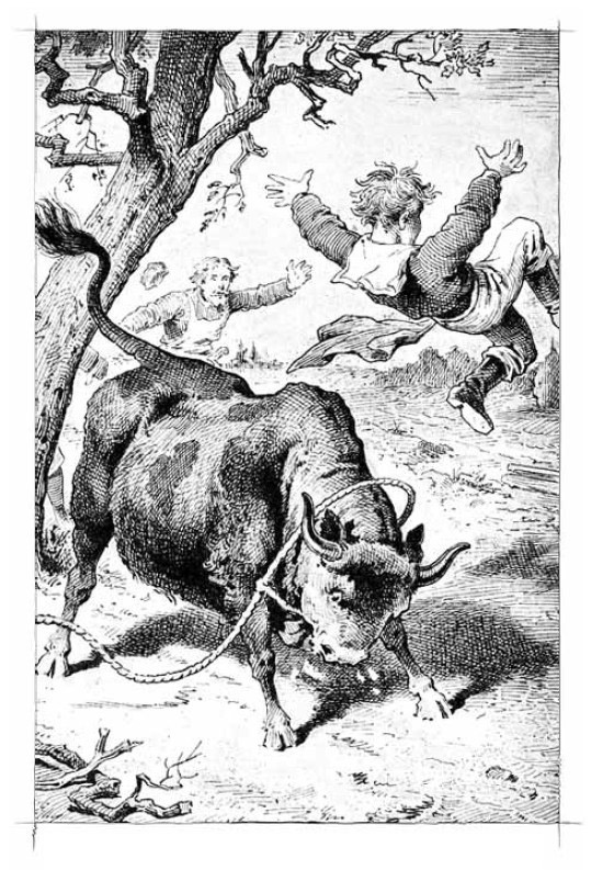 Иллюстрация к книге — Дом шалунов [i_009.jpg]