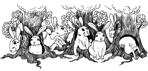 Иллюстрация к книге — Лили сама по себе [i_037.jpg]