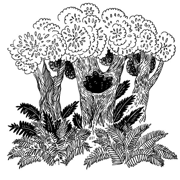 Иллюстрация к книге — Лили сама по себе [i_057.jpg]