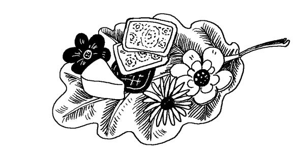 Иллюстрация к книге — Лили сама по себе [i_070.jpg]