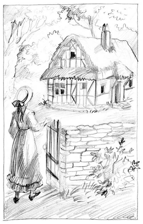 Иллюстрация к книге — Семь молоденьких девиц, или Дом вверх дном [i_005.jpg]