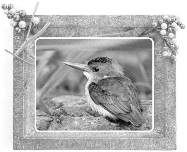 Иллюстрация к книге — Сказки ветра [image10_55dc47dcca4384d303f61629_jpg.jpg]