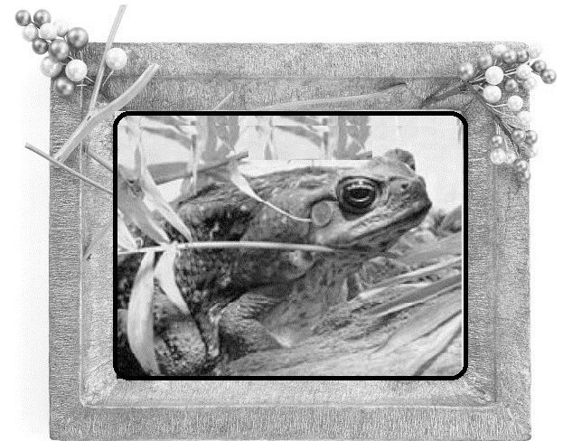 Иллюстрация к книге — Сказки ветра [image1_55dc16faca4384d303f5fb6c_jpg.jpg]