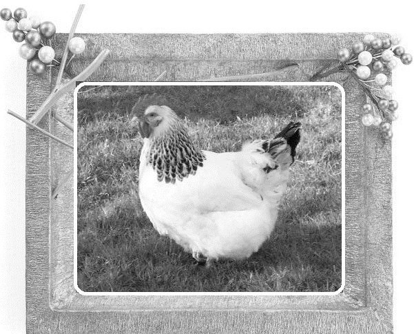 Иллюстрация к книге — Сказки ветра [image3_55dc46a4ca4384d303f615cb_jpg.jpg]