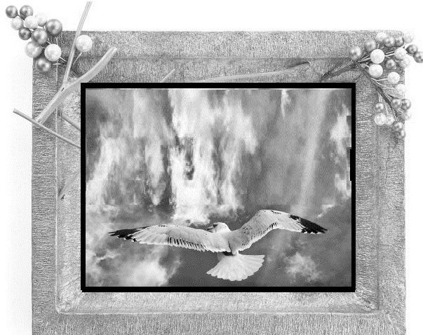 Иллюстрация к книге — Сказки ветра [image4_55dc1deeca4384d303f5fef6_jpg.jpg]