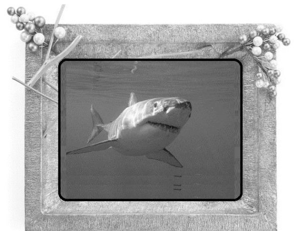 Иллюстрация к книге — Сказки ветра [image6_55dc260eca4384d303f604af_jpg.jpg]