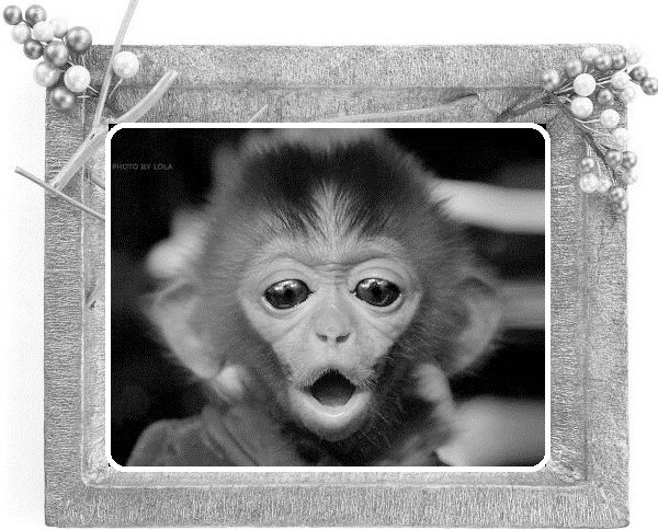 Иллюстрация к книге — Сказки ветра [image9_55dc3c53ca4384d303f61154_jpg.jpg]