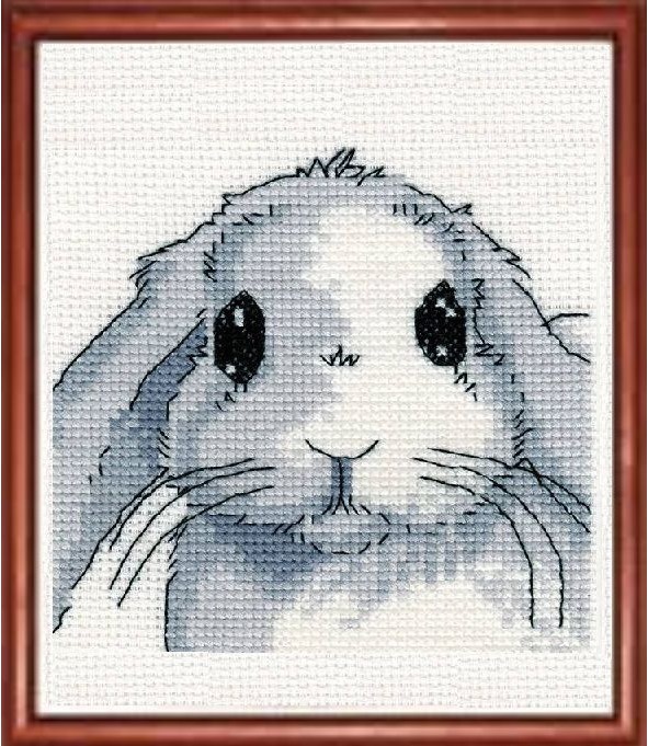 Иллюстрация к книге — Сказки о тех, кто лапой чешет ухо [image2_55d55f9bfb9237227fcae3a2_jpg.jpg]