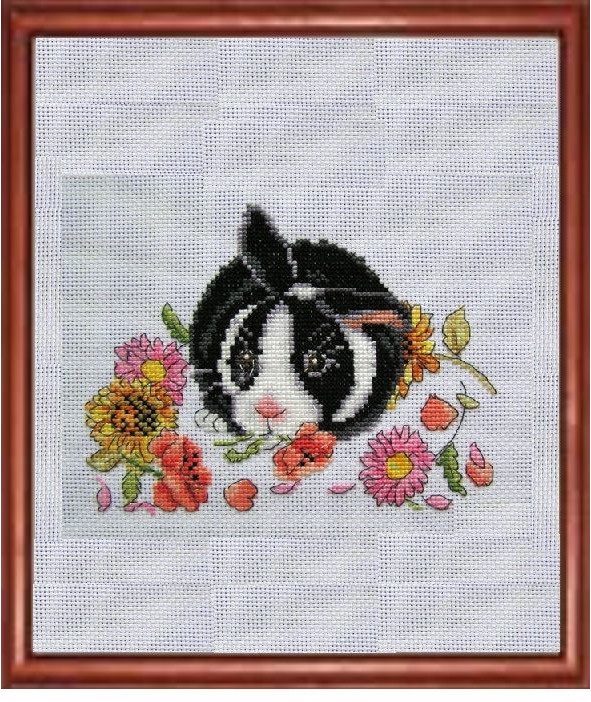 Иллюстрация к книге — Сказки о тех, кто лапой чешет ухо [image7_55d576a8fb9237227fcae90e_jpg.jpg]