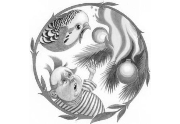 Иллюстрация к книге — Сказки чудака-чудодея [image1_55d3853d7042c1557e972fff_jpg.jpg]