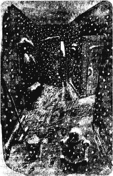 Иллюстрация к книге — Сказки времен Империи [i_005.jpg]