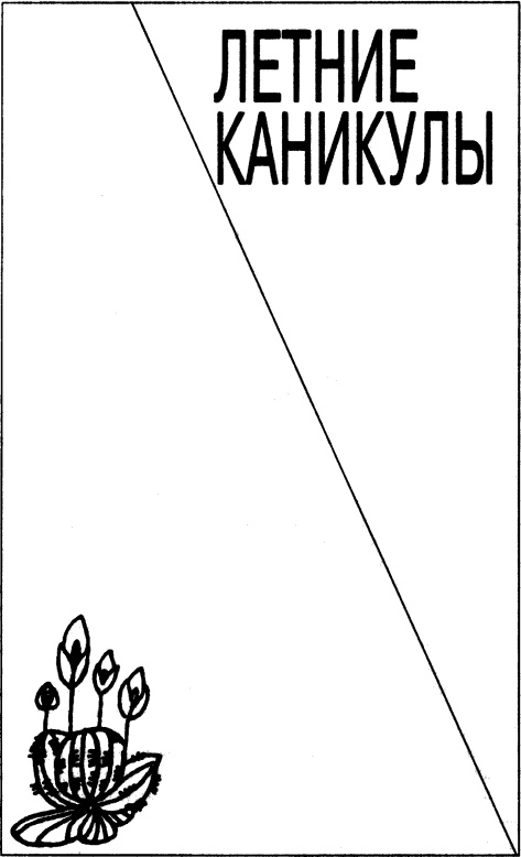 Иллюстрация к книге — Е-18. Летние каникулы [i_005.jpg]