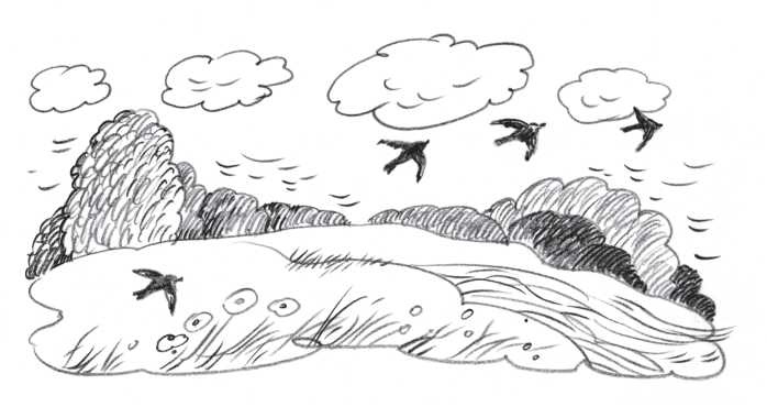 Иллюстрация к книге — Айрислин - небесный слон [i_010.jpg]