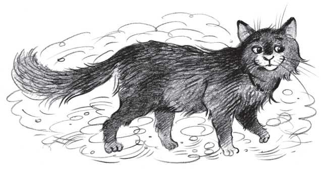 Иллюстрация к книге — Айрислин - небесный слон [i_016.jpg]