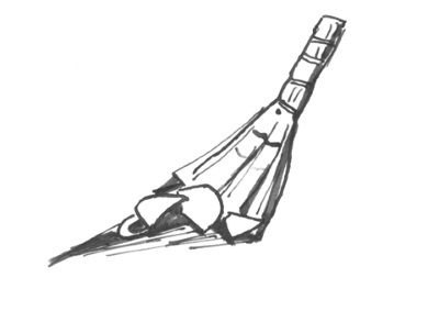 Иллюстрация к книге — Я плюс все [i_041.jpg]