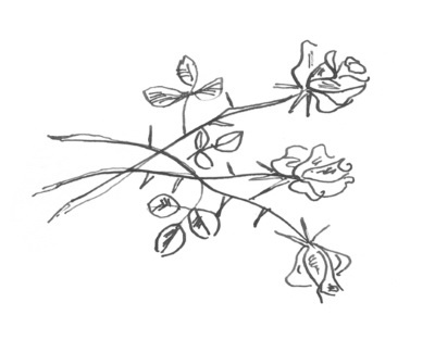 Иллюстрация к книге — Я плюс все [i_062.jpg]