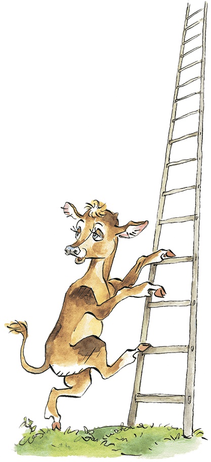 Иллюстрация к книге — Дом с колокольчиком [i_031.jpg]