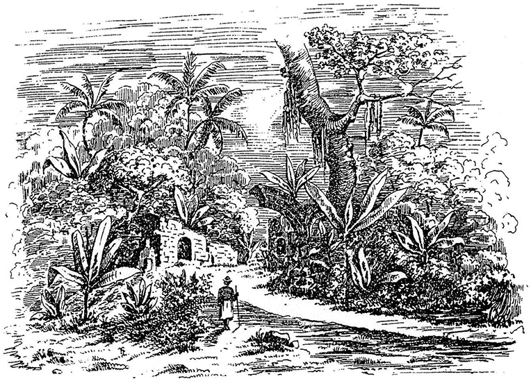 Иллюстрация к книге — Щит и меч Кенигсберга. Альбом [i_020.jpg]