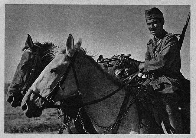 Иллюстрация к книге — Щит и меч Кенигсберга. Альбом [i_123.jpg]