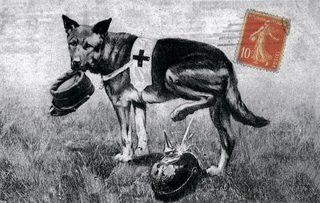 Иллюстрация к книге — Щит и меч Кенигсберга. Альбом [i_147.jpg]