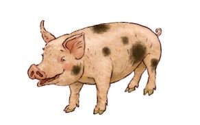 Иллюстрация к книге — Счастье Муры [_09.jpg]