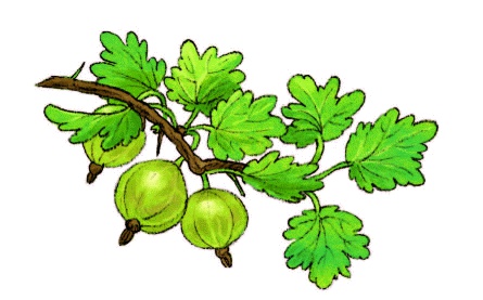 Иллюстрация к книге — Счастье Муры [_26.jpg]