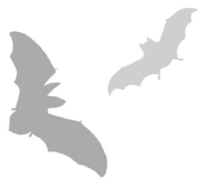 Иллюстрация к книге — Трое в подземелье [i_002.jpg]