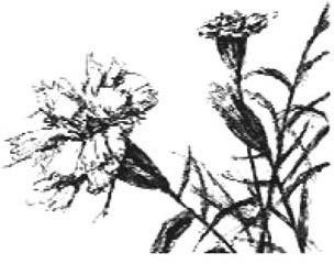 Иллюстрация к книге — Грустный оптимизм счастливого поколения [i_010.jpg]