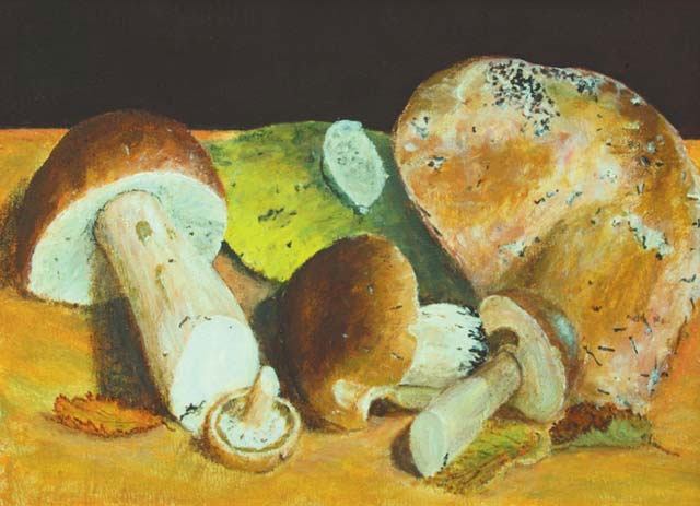 Иллюстрация к книге — Грустный оптимизм счастливого поколения [i_053.jpg]