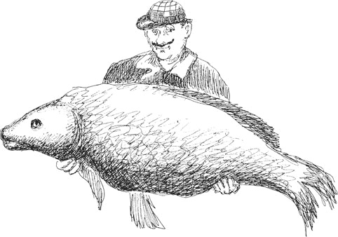 Иллюстрация к книге — Митя Тимкин, второклассник [i_031.jpg]