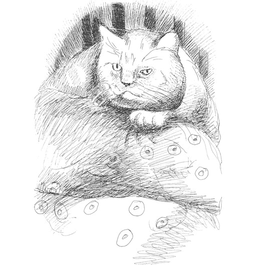 Иллюстрация к книге — Митя Тимкин, второклассник [i_040.jpg]