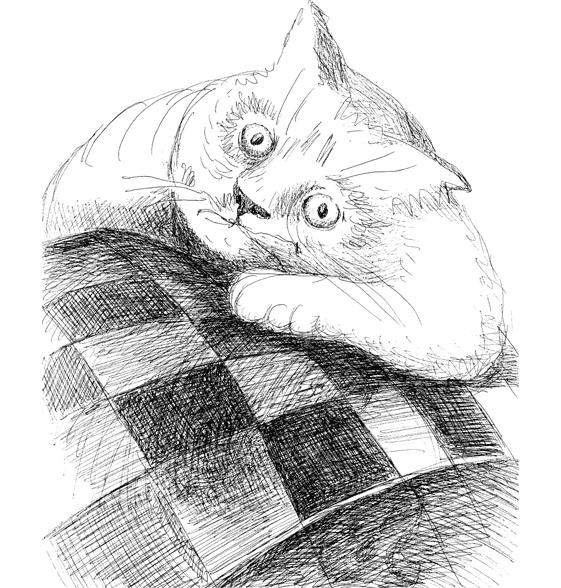 Иллюстрация к книге — Митя Тимкин, второклассник [i_048.jpg]