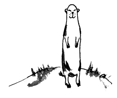 Иллюстрация к книге — Место силы [i_013.jpg]