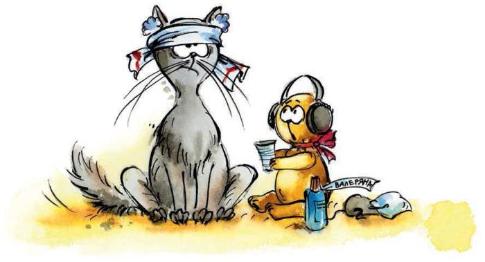 Иллюстрация к книге — Бука сама боится. Нестрашные сказки про страшную Буку [i_020.jpg]