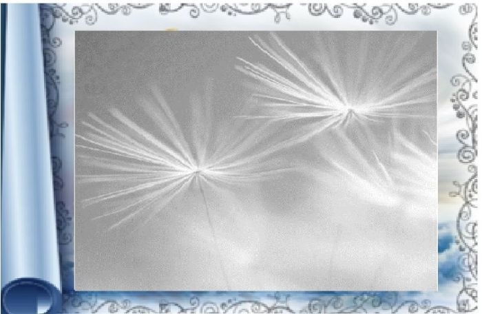 Иллюстрация к книге — Солнечный дождь [image14_55e46ac5acb2e9327517d89c_jpg.jpg]