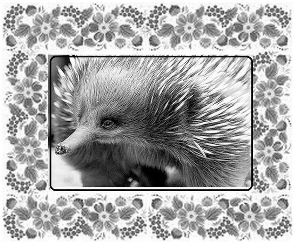 Иллюстрация к книге — Почемучкины сказки [image10_55dab1eaab44b42b3231d196_jpg.jpg]