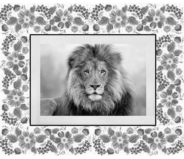 Иллюстрация к книге — Почемучкины сказки [image1_55d9750eab44b42b3231a67d_jpg.jpg]