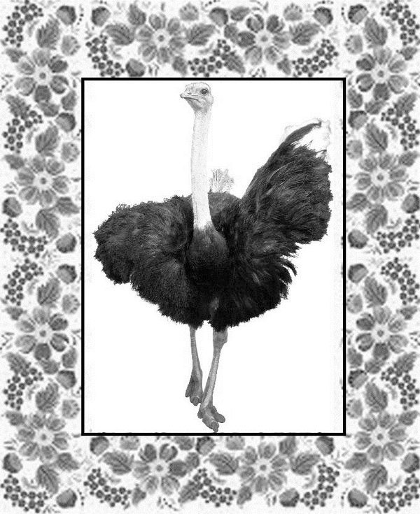 Иллюстрация к книге — Почемучкины сказки [image2_55d964cfab44b42b3231a4c1_jpg.jpg]