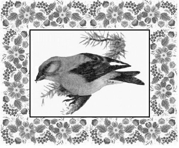 Иллюстрация к книге — Почемучкины сказки [image3_55d9737dab44b42b3231a608_jpg.jpg]