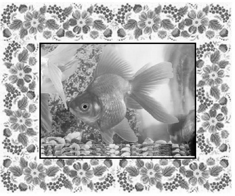 Иллюстрация к книге — Почемучкины сказки [image5_55d9e2baab44b42b3231bd30_jpg.jpg]