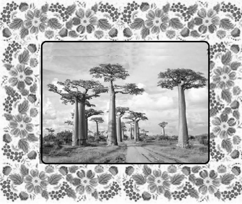 Иллюстрация к книге — Почемучкины сказки [image8_55daa0feab44b42b3231cf06_jpg.jpg]