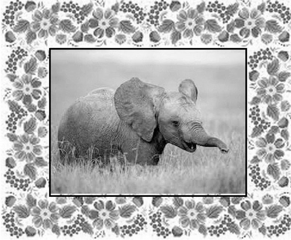 Иллюстрация к книге — Почемучкины сказки [image9_55daa31bab44b42b3231cf1d_jpg.jpg]