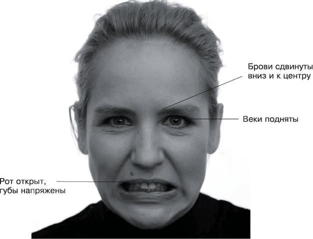 Иллюстрация к книге — Психология лжи и обмана. Как разоблачить лжеца [i_034.jpg]