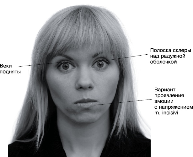 Иллюстрация к книге — Психология лжи и обмана. Как разоблачить лжеца [i_035.jpg]