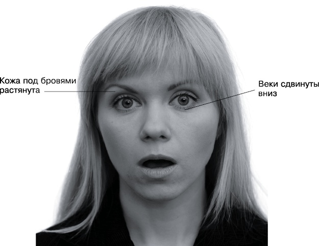 Иллюстрация к книге — Психология лжи и обмана. Как разоблачить лжеца [i_036.jpg]