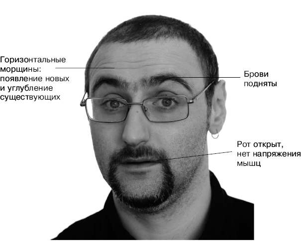 Иллюстрация к книге — Психология лжи и обмана. Как разоблачить лжеца [i_037.jpg]